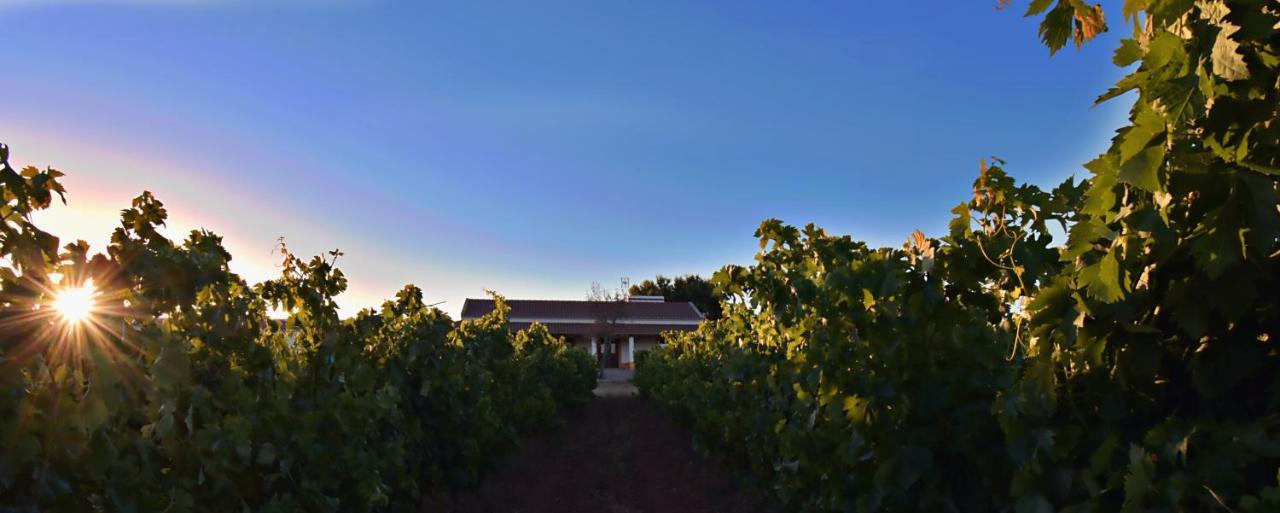 منزل الضيف Vila Ruiva   في Turismo Rural Pedremoura المظهر الخارجي الصورة